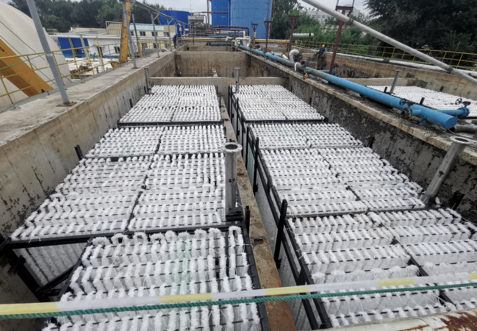 浙江某化工废水生物填料刷新项目案例